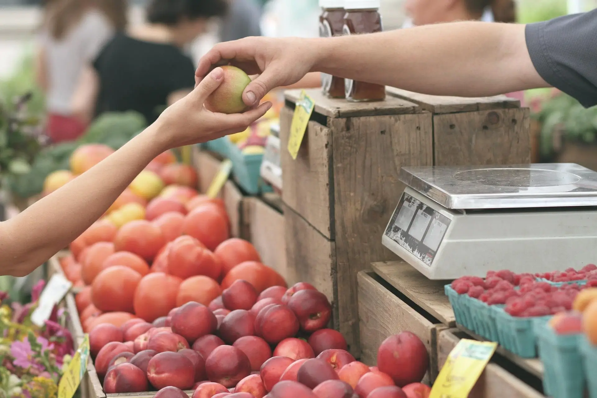 Shopkeeper hands an apple to a customer at a fruit market stand with a weighing scale, displays of apples and cherries, and other shoppers in the background.