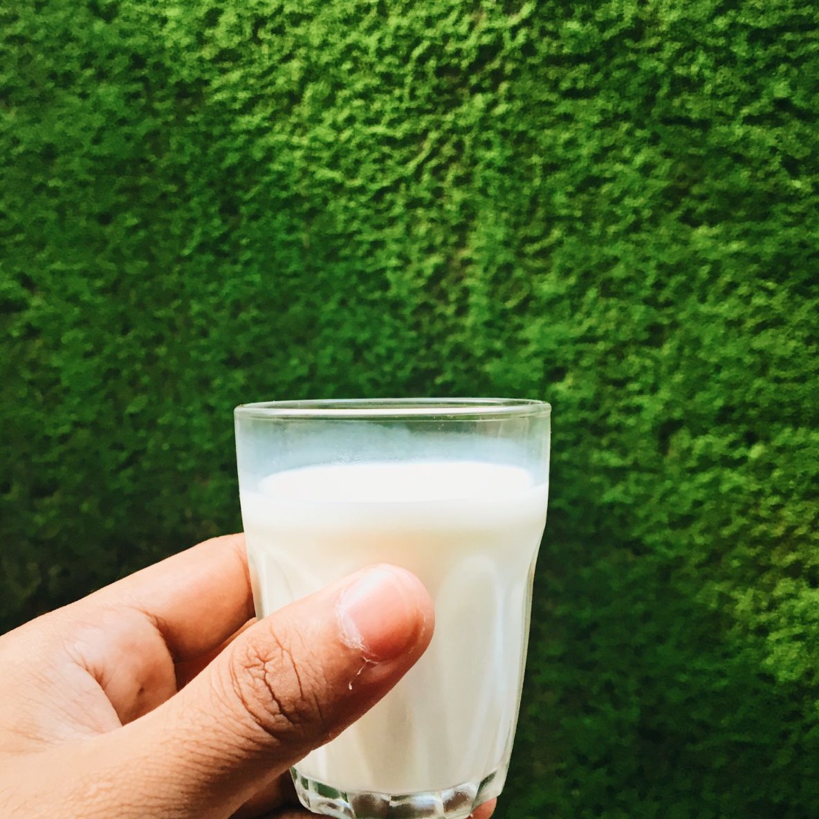 TIPS FOR CHOOSING THE BEST MILK FOR YOUR FAMILY