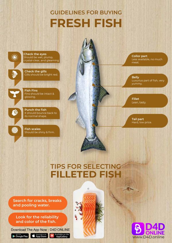 How To Identify fresh Fish? [INFOGRAPHICS]