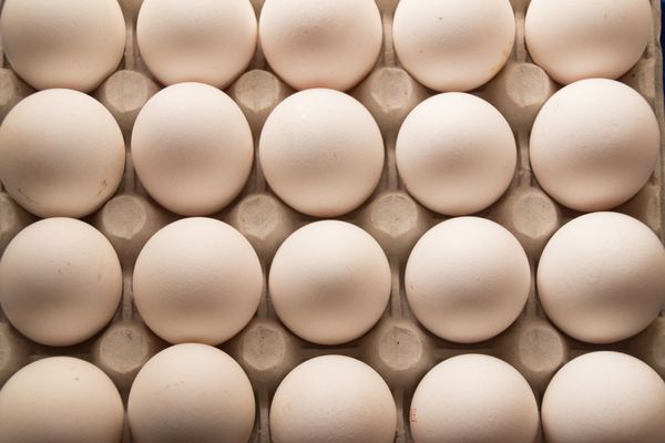 A TRUTHFUL GUIDE TO BUY HEALTHY EGGS FOR YOUR FAMILY